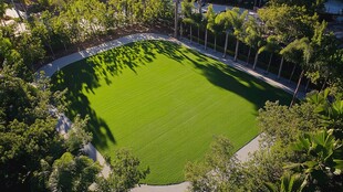 绿意盎然的户外草坪景观