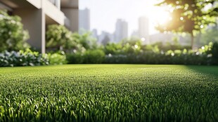 城市中的翠绿草坪景观