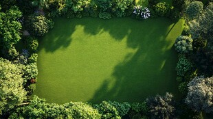 空中俯瞰绿意盎然的池塘