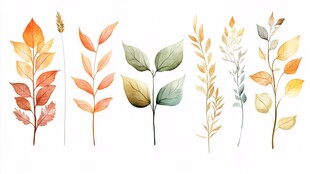 手绘多彩秋叶植物集合