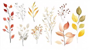 水彩风秋季植物枝叶插画