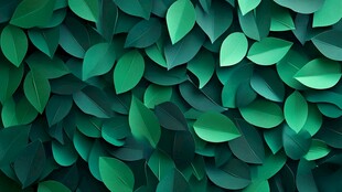 翠绿叶片构成的生机背景