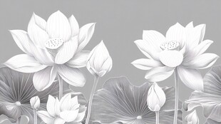 水墨风荷花素雅花卉图