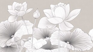 素雅荷花线描图
