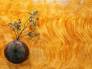 金纹背景中的雅致盆栽