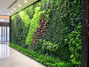 室内绿植墙 打造自然空间
