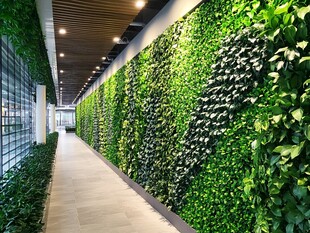 室内绿植墙打造清新走廊