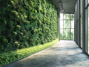 室内绿植墙营造自然空间