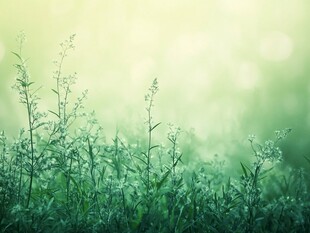 清新绿意草地梦幻背景图