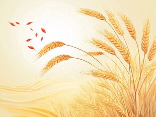 金黄麦田与飞舞红叶美景