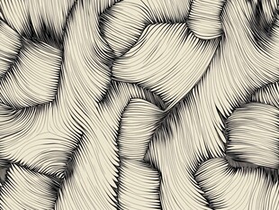 黑白毛发纹理抽象图案