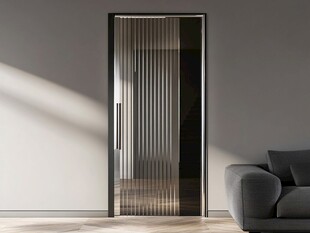 现代简约风格室内金属条门