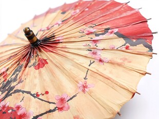 古风桃花油纸伞特写