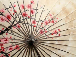 古风梅花图案油纸伞