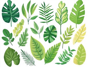 多样绿植叶片插画集合