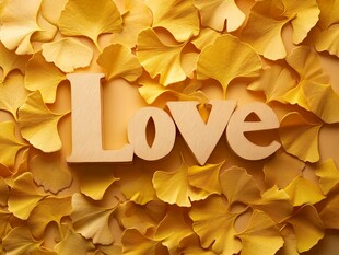 银杏叶上的浪漫之爱