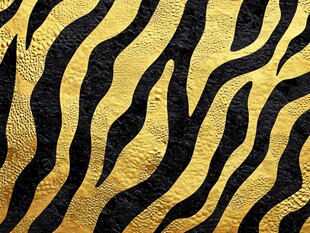 金色斑马纹皮革纹理
