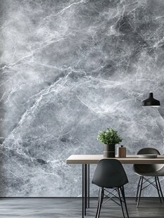 现代简约大理石墙面室内场景