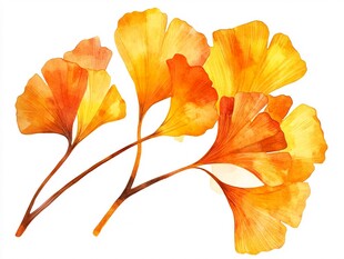 水彩绘金黄银杏叶