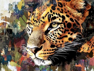 豹之印象 多彩艺术风肖像