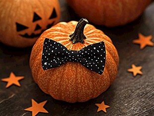 可爱南瓜饰以蝴蝶结