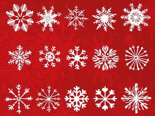红色背景上的多样白色雪花