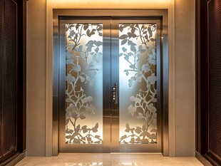 精致雕花不锈钢电梯门