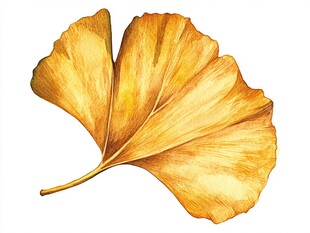 金黄银杏叶 唯美水彩绘
