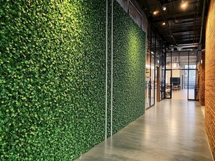 室内绿植墙打造清新办公区