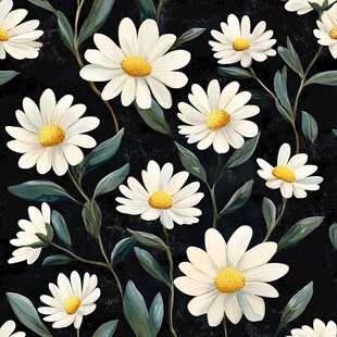 黑色背景上的清新雏菊图案