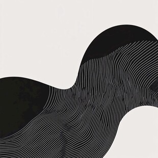 黑白线条构成的抽象波浪图形