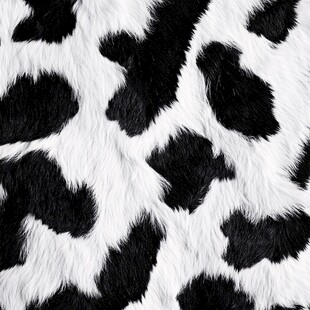 黑白奶牛纹毛绒材质图案