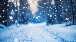 冬日雪景林间小路飘雪