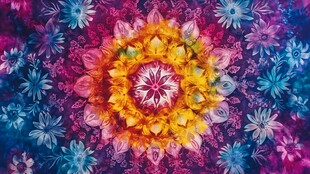 绚丽多彩花卉曼陀罗图案