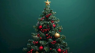 装饰精美的绿色圣诞树