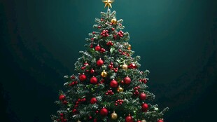 装饰精美的节日圣诞树