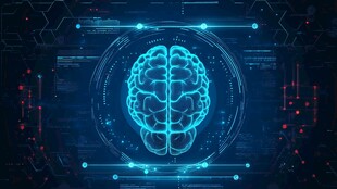 科技感大脑 智慧与创新象征