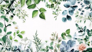 绿叶花卉环绕的清新背景