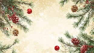 圣诞松枝装饰背景图