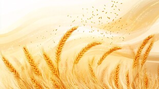 金色麦浪 飞扬的丰收希望