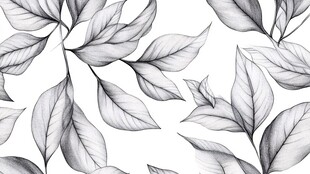 黑白手绘叶片图案纹理