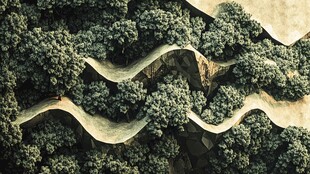 蜿蜒山路穿梭葱郁山林