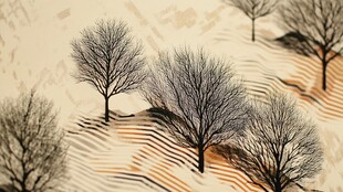 冬日枯树风景图