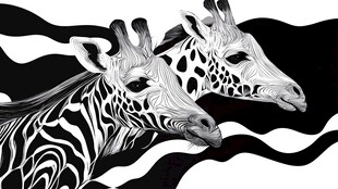 黑白双长颈鹿抽象艺术画