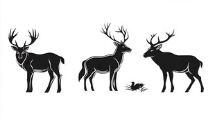 三只鹿的剪影图案