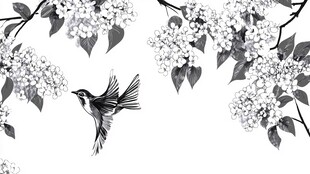 黑白花鸟图