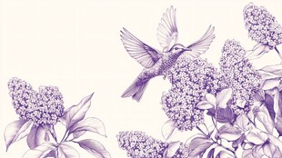 紫丁香旁蜂鸟飞舞图