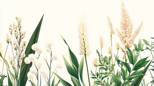 清新白花绿植自然景致