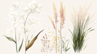 清新手绘风花卉与草组合图