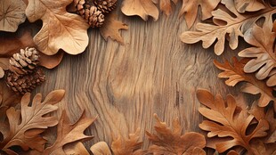 秋景橡叶松果木质背景图